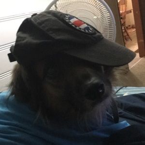 Meet your Posher, James